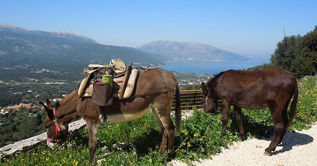 kefalonia car hire